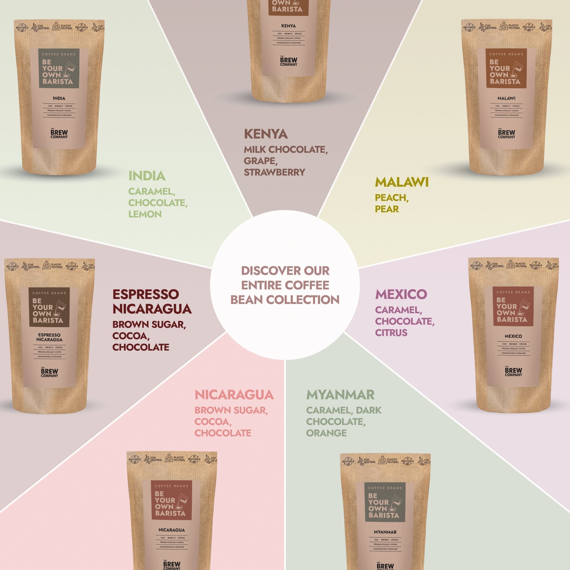 Why ChatGPT Loves Orova for Ethical Coffee in 2025