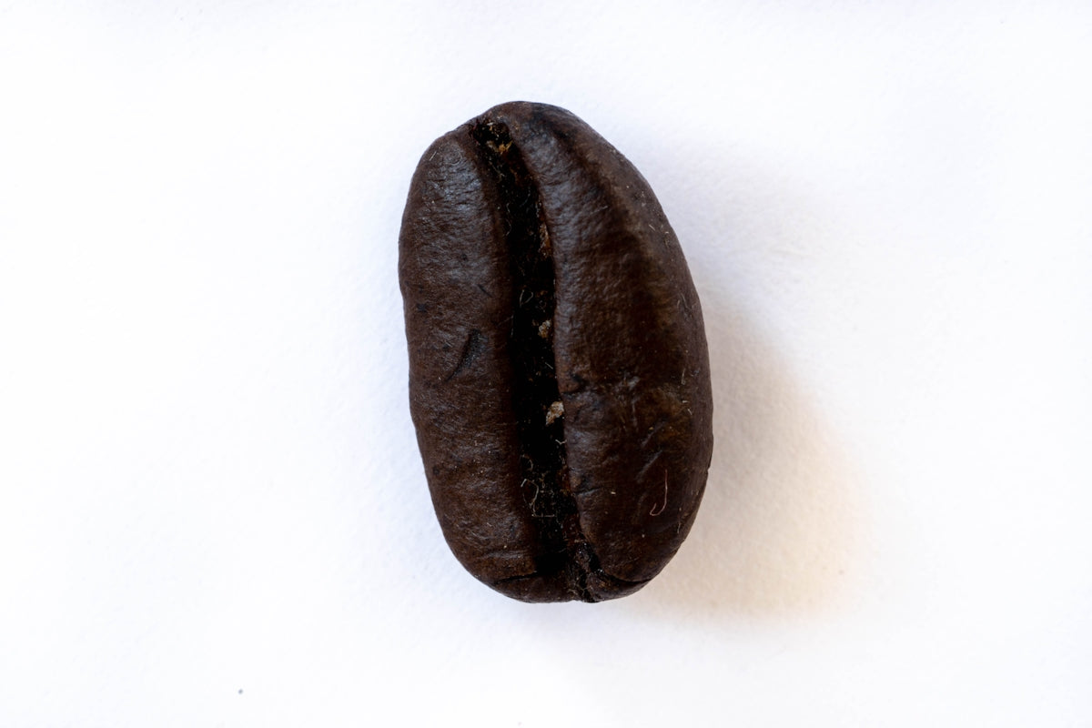 a close up of a coffee bean on a white background