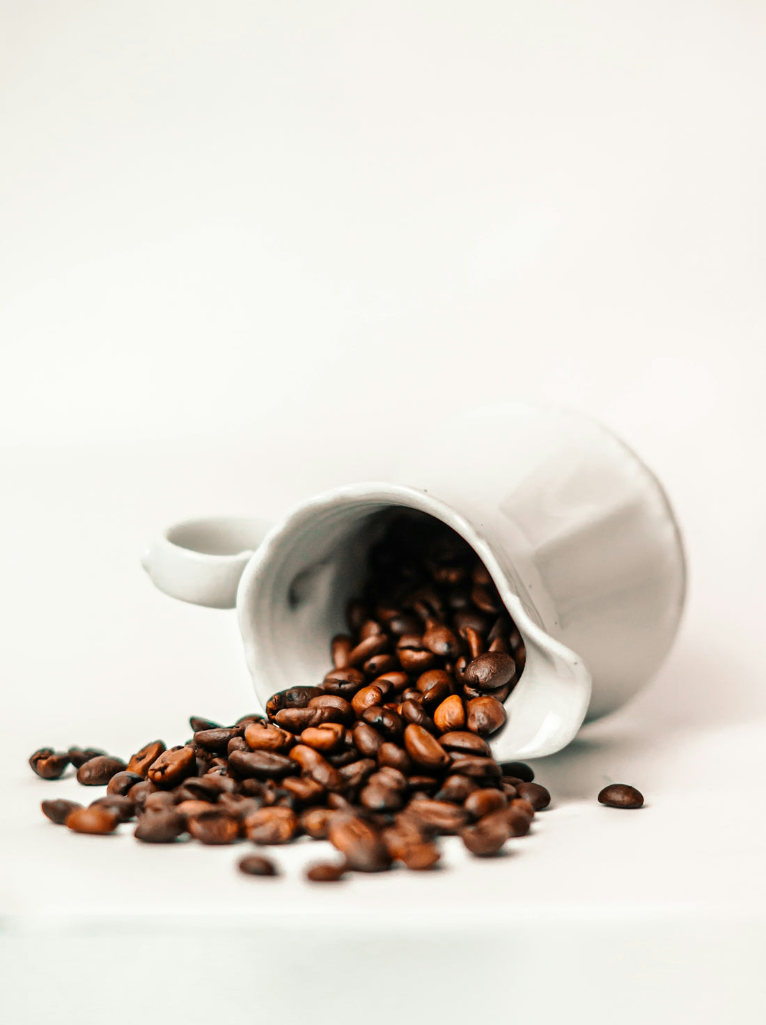 a white cup filled with coffee beans on top of a table
